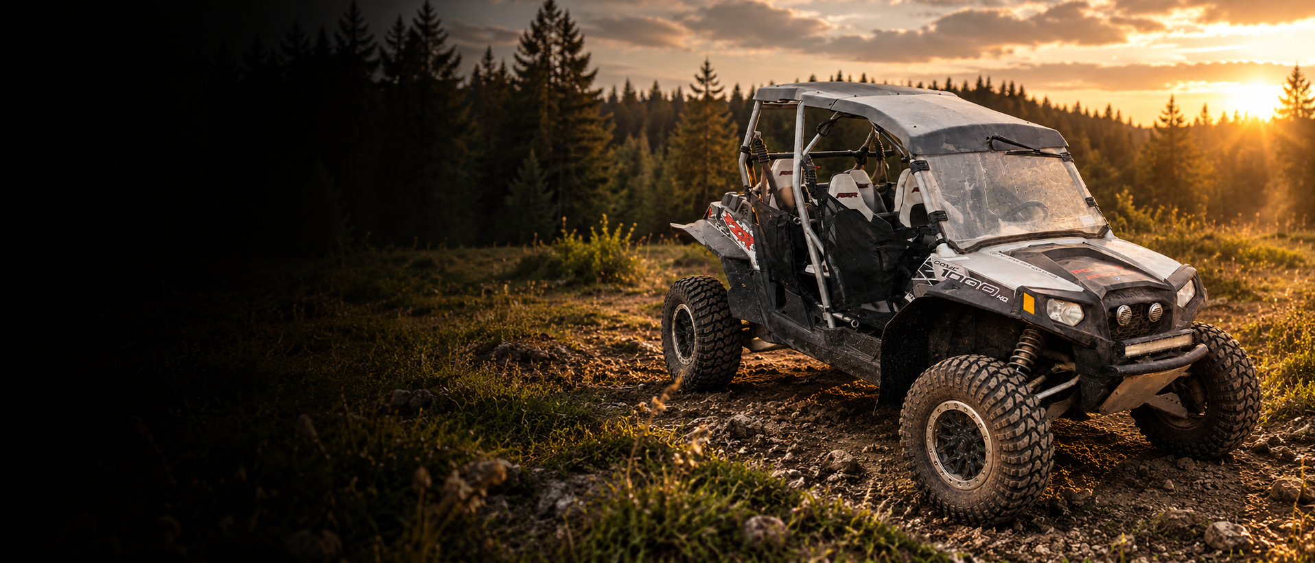 Polaris RZR 4 1000